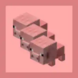 lesxmore Avatar for lesxmore