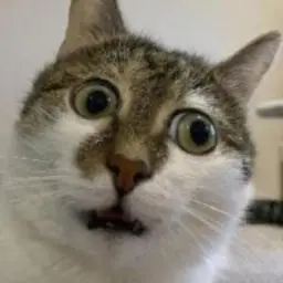 Avatar for QuantifyingEpic