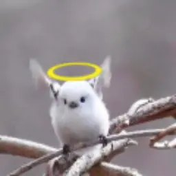 Avatar for Dangel165