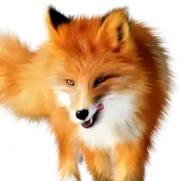 Kyle Avatar for Kyle