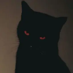 Avatar for vtr0_o