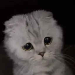 Avatar for Ztabilobleu