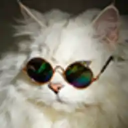 Avatar for KevstaRU