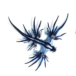 EnZaXD Avatar for EnZaXD