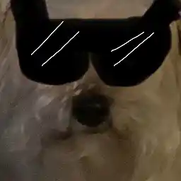 Avatar for Astro-Craft