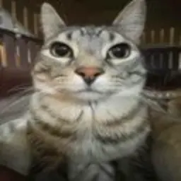 Avatar for DimasKama