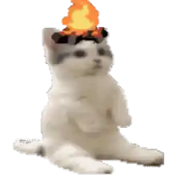Tamion Avatar for Tamion