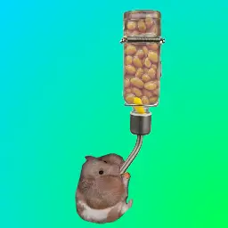 BeanFeed Avatar for BeanFeed