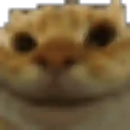 atikiNBTW Avatar for atikiNBTW