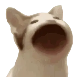 Avatar for shraeder